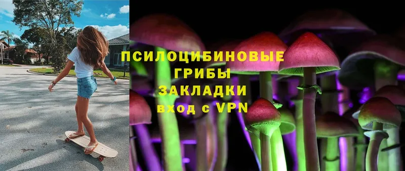 Псилоцибиновые грибы Magic Shrooms  гидра сайт  Далматово 